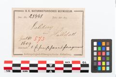 Etikett zu Eisenschwert (NHMW-PRAE-025448)